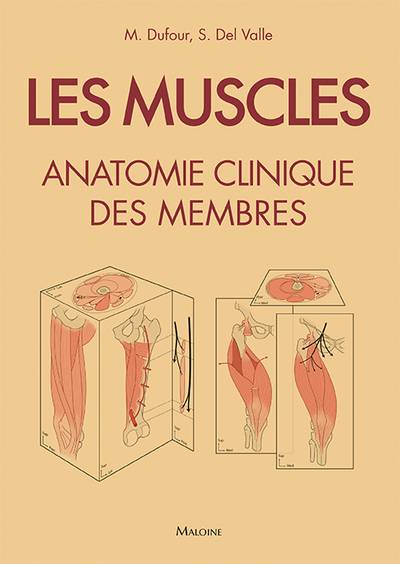 MUSCLES : ANATOMIE CLINIQUE DES MEMBRES