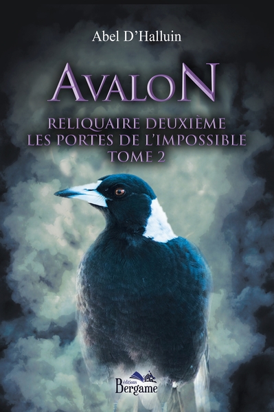 AVALON - RELIQUAIRE DEUXIEME - LES PORTES DE L´IMPOSSIBLE TOME 2