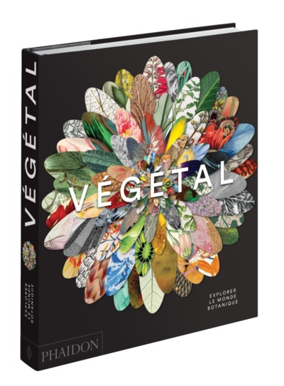 VEGETAL