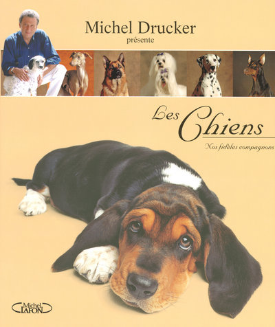 CHIENS