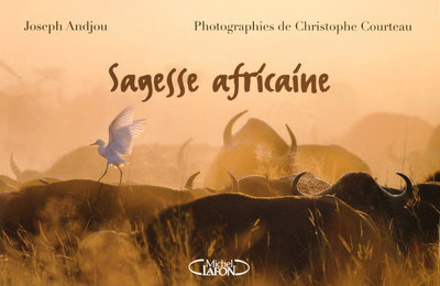 SAGESSE AFRICAINE