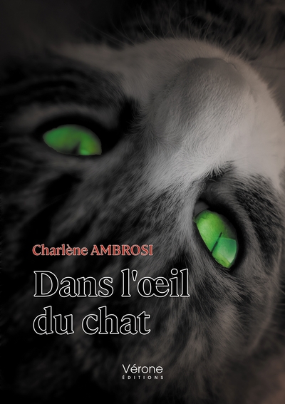 DANS L´OEIL DU CHAT