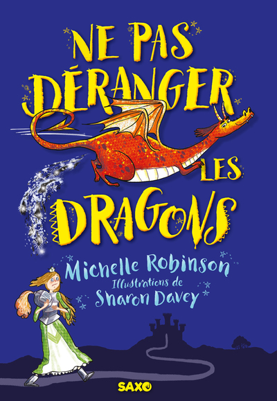 NE PAS DERANGER LES DRAGONS (BROCHE)