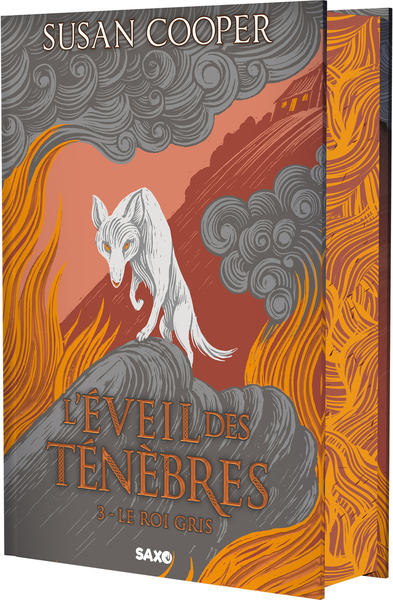 L´EVEIL DES TENEBRES - TOME 03 LE ROI GRIS (RELIE) - VOL03