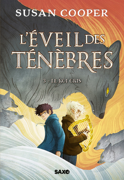 L´EVEIL DES TENEBRES - TOME 03 LE ROI GRIS (BROCHE) - VOL03