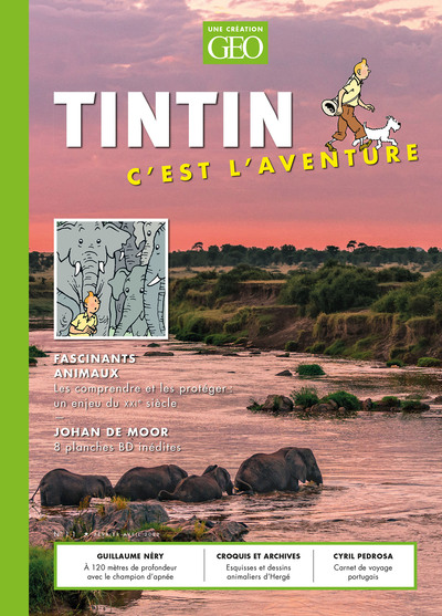 TINTIN - C´EST L´AVENTURE 11 - FASCINANTS ANIMAUX