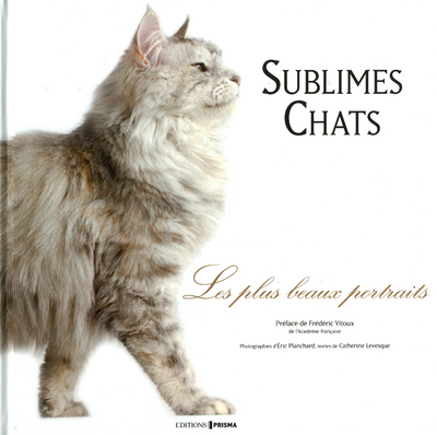 SUBLIMES CHATS