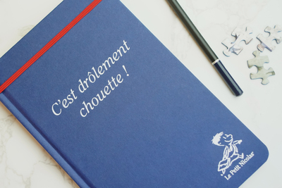 CARNET : LE PETIT NICOLAS "C´ EST DROLEMENT CHOUETTE" / BLEU