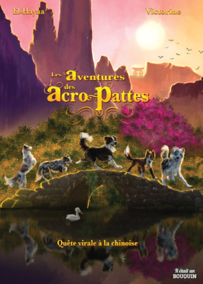AVENTURES DES ACRO-PATTES, TOME 1, QUETE VIRALE A LA CHINOISE