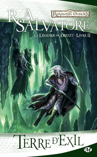 LEGENDE DE DRIZZT T2 TERRE D´EXIL