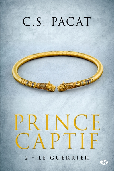 PRINCE CAPTIF, T2 : LE GUERRIER