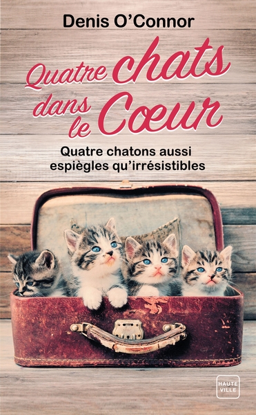 QUATRE CHATS DANS LE COEUR