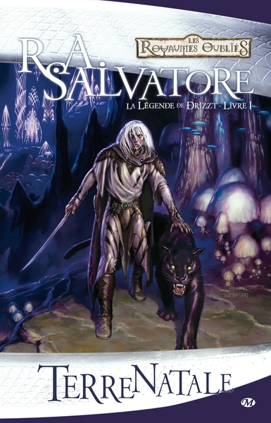 LEGENDE DE DRIZZT T1