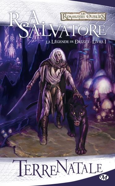 LEGENDE DE DRIZZT T1 TERRE NATALE
