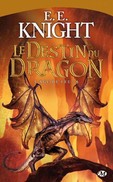 DESTIN DU DRAGON - AGE DU FEU T6