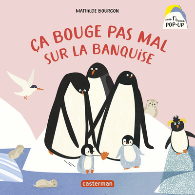 CA BOUGE PAS MAL SUR LA BANQUISE