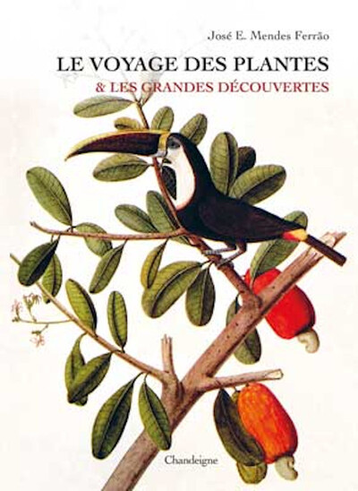 VOYAGE DES PLANTES ET LES GRANDES DECOUVERTES (LE)