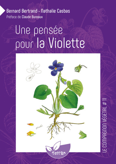 PENSEE POUR LA VIOLETTE