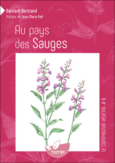 AU PAYS DES SAUGES - VOL. 6