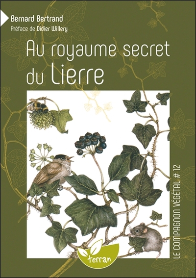 AU ROYAUME SECRET DU LIERRE - VOL. 12