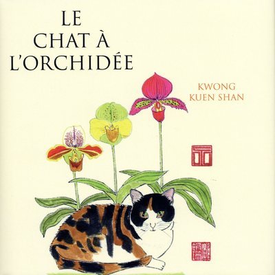 CHAT A L´ORCHIDEE