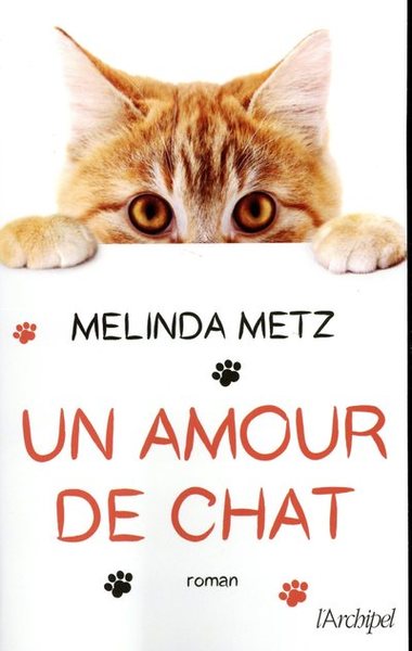 AMOUR DE CHAT