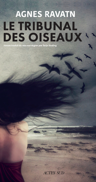 TRIBUNAL DES OISEAUX