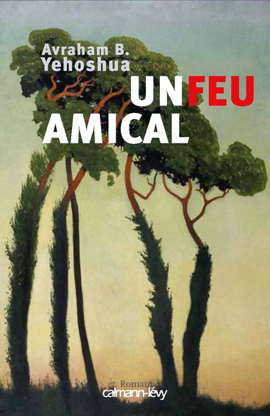 FEU AMICAL