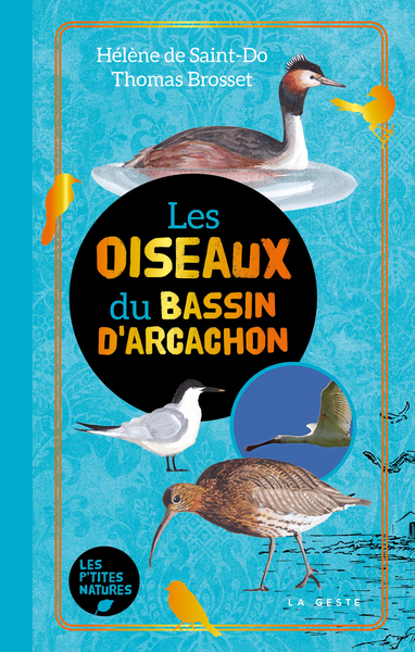 OISEAUX DU BASSIN D´ARCACHON