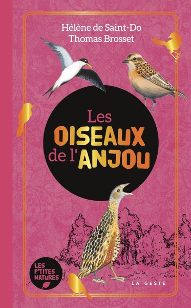 OISEAUX DE L´ANJOU