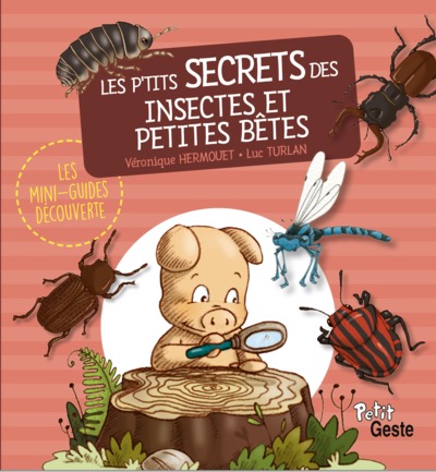 Couverture de Les p'tits secrets des insectes et petites bêtes