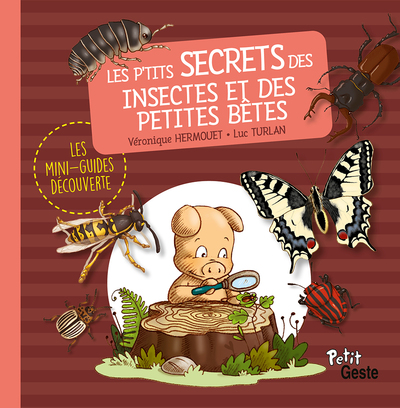 P´TITS SECRETS DES INSECTES ET PETITES BETES (MINI-GUIDE DECOUVERTE-REEDITION)