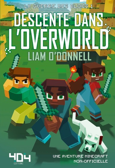 DESCENTE DANS L´OVERWORLD