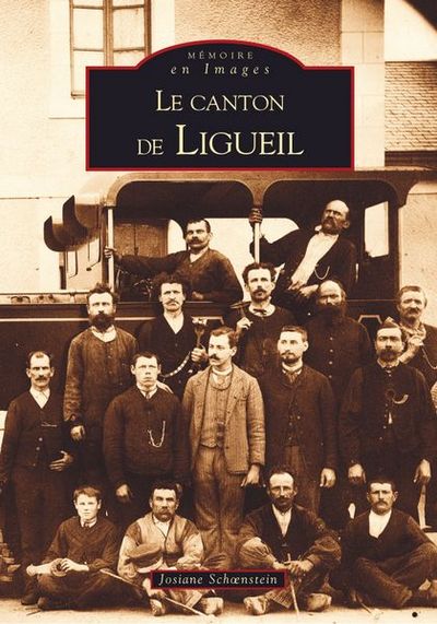 LIGUEIL (CANTON DE)
