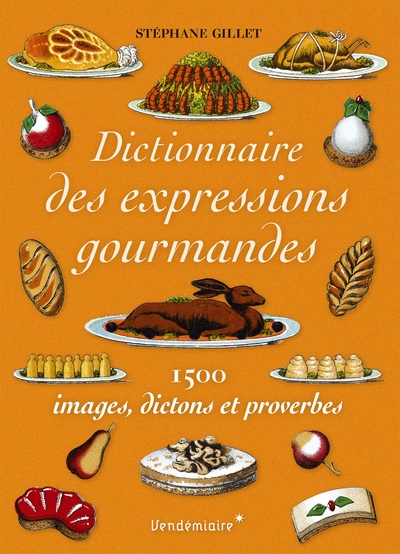 DICTIONNAIRE DE LA GOURMANDISE - 1500 EXPRESSIONS GASTRONOMI