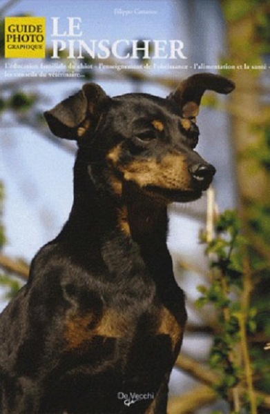 PINSCHER (LE)