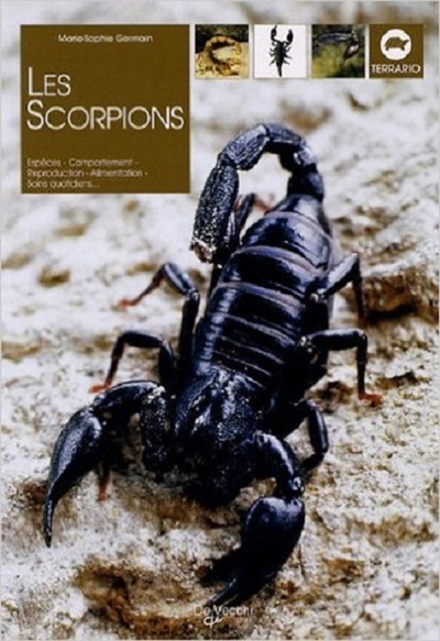 SCORPIONS (LES)