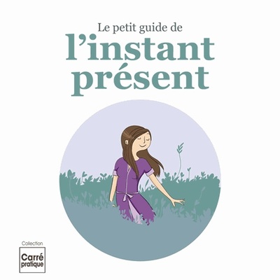 PETIT GUIDE DE L INSTANT PRESENT (LE)