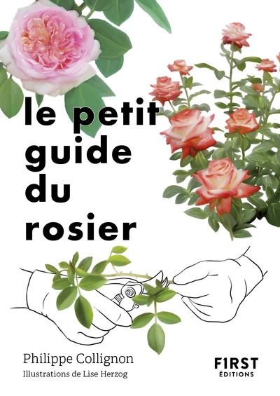 PETIT GUIDE DU ROSIER