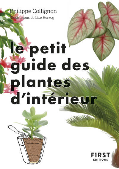 PETIT GUIDE JARDIN DES PLANTES D´INTERIEUR