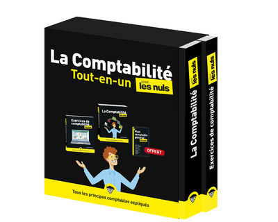 COMPTABILITE TOUT-EN-UN POUR LES NULS, 2E ED