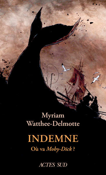 INDEMNE - OU VA MOBY-DICK ?
