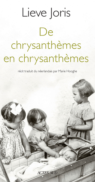 DE CHRYSANTHEMES EN CHRYSANTHEMES