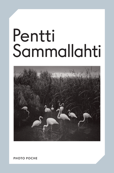PENTTI SAMMALLAHTI