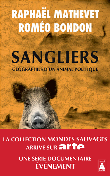 SANGLIERS, GEOGRAPHIES D´UN ANIMAL POLITIQUE