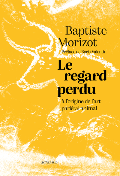 REGARD PERDU