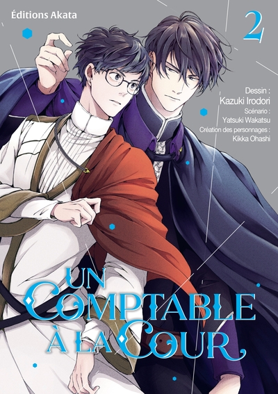 COMPTABLE A LA COUR - TOME 2