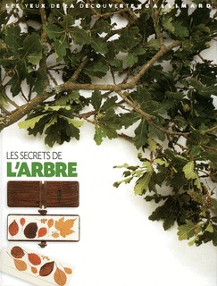 SECRETS DE L´ARBRE