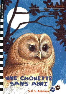CHOUETTE SANS ABRI