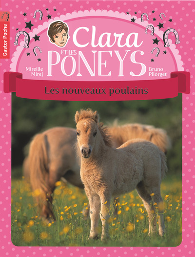 CLARA ET LES PONEYS T2 - LES NOUVEAUX POULAINS